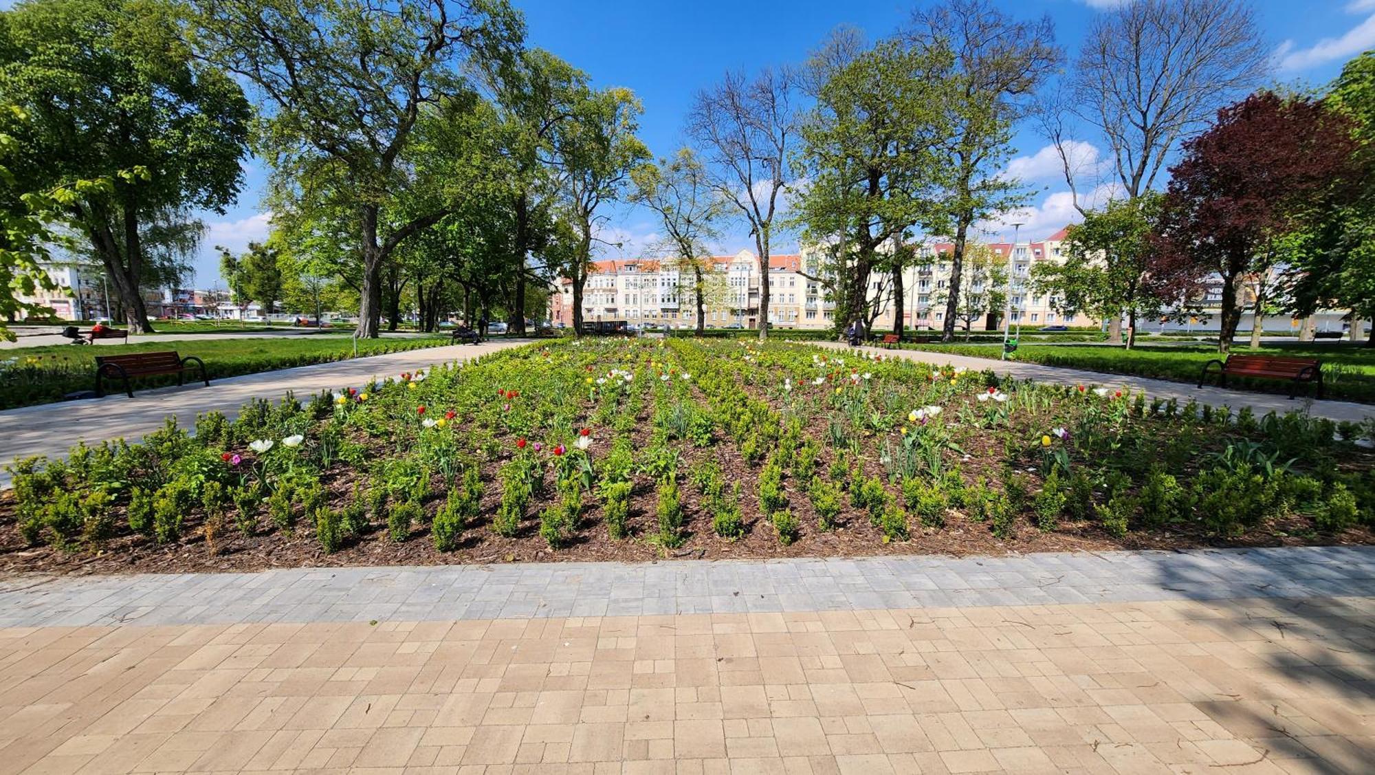 Apartament Garncarska Elblag Exteriör bild